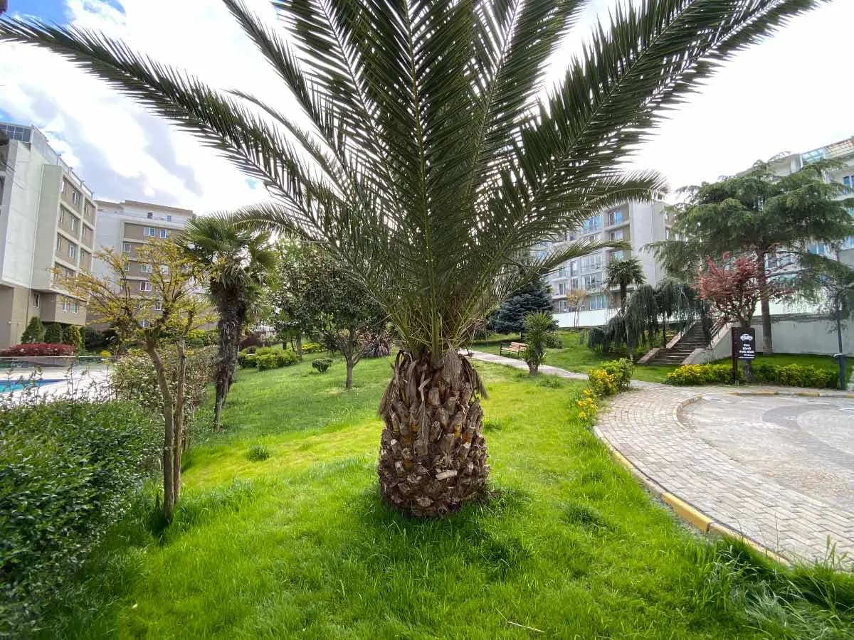 Ümraniye Yukarı Dudullu’da 2015 Yapımı 2+1 | 120 M² Brüt | Balkonlu | Boş Kiralık Daire — fotoğraf 4