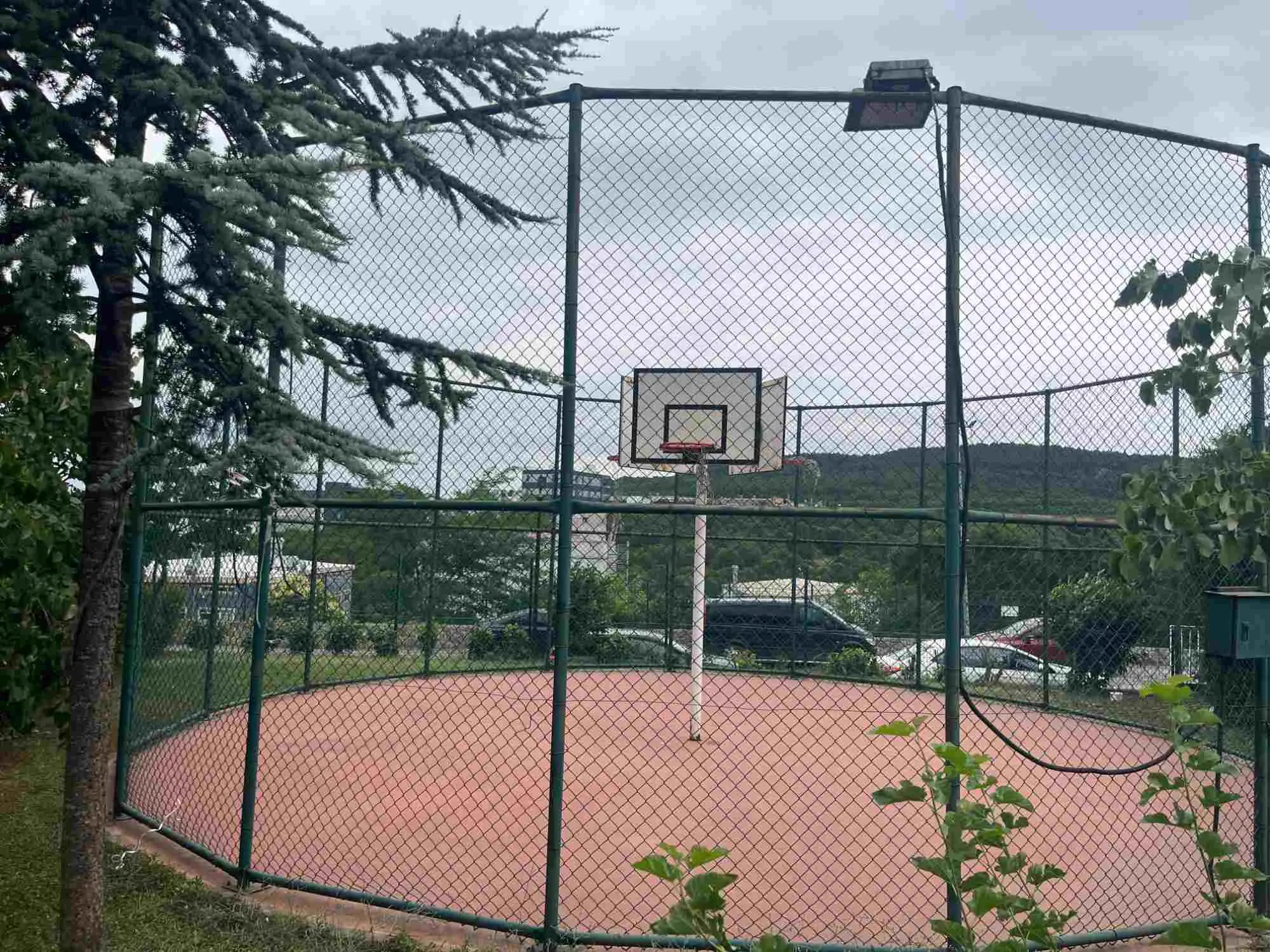 Dumankaya Adres Batı Kiralık Bakımlı 1+1 — fotoğraf 5