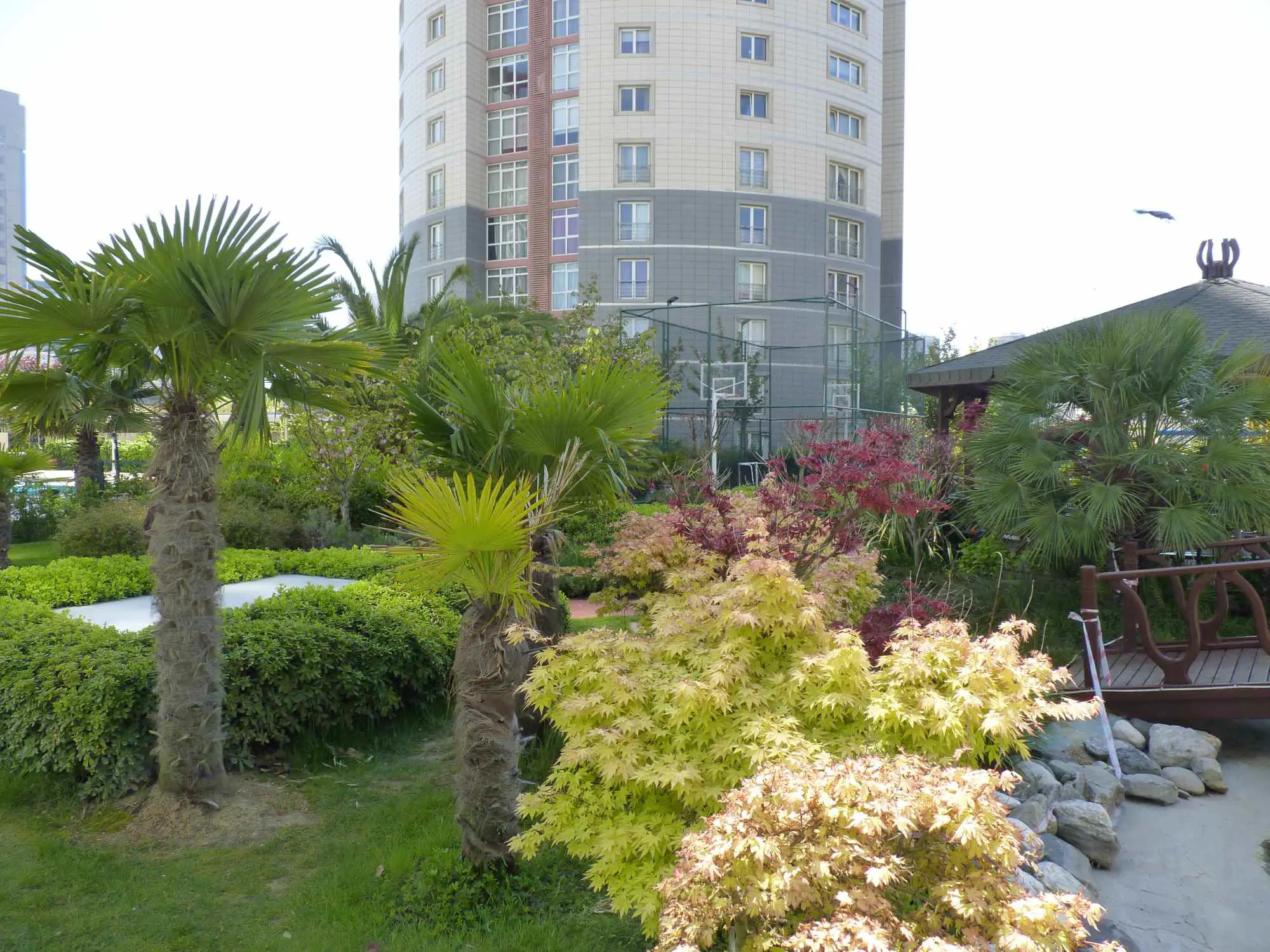 Ağaoğlu Starland Sitesi Kilerli 3+1 Tek Alternatif — fotoğraf 4
